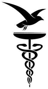 Huisartsenpraktijk Dirksland - Naar startpagina